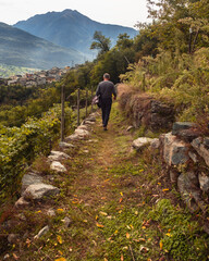 Wein Trekking, Sondrio, Italien