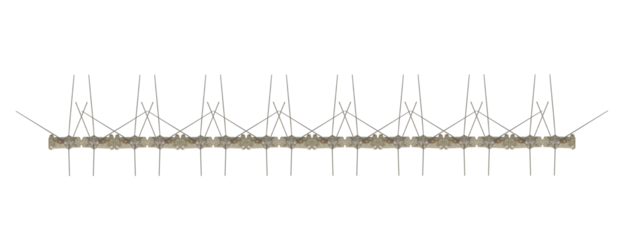 Spikes made of wires. Bird deterrent mounted on the roof of the building. On isolated transparent background. Place copies of the photo side by side to increase the size.