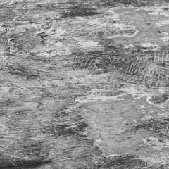 Wood Texture Rustic Vertical Monochrome Natural Aged Surface Close-Up Detail