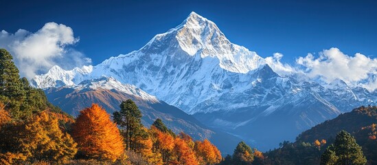 Majestic snow-capped mountain peak with colorful trees in the foreground and blue sky with white clouds.