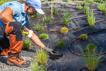 Man Installing Irrigation System in a Landscaped Garden During Daylight Hours