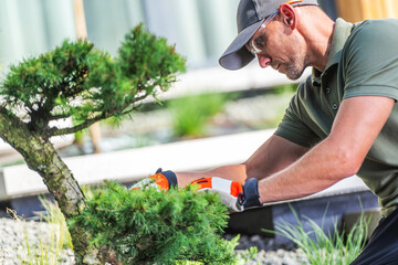 Gardener Meticulously Pruning a Bonsai Tree at a Serene Landscape Nursery on a Sunny Day