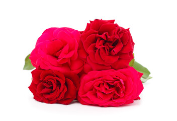 Beautiful red flowers.