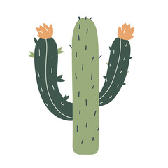 cactus illustration