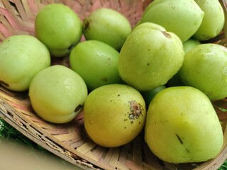 Organic raw tomatoes. Green unripe tomatoes.
