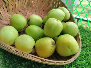 Organic raw tomatoes. Green unripe tomatoes.