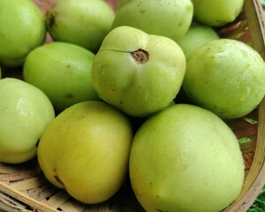 Organic raw tomatoes. Green unripe tomatoes.