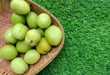 Organic raw tomatoes. Green unripe tomatoes.