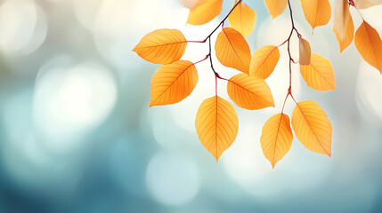Autumn Leaves Branch Illustration