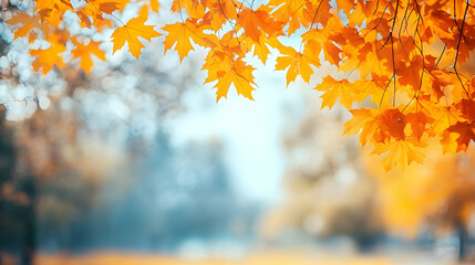 Autumn Leaves Background with Blurred Forest - Illustration