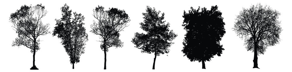 Fototapeta premium A collection of tree silhouettes of various species
