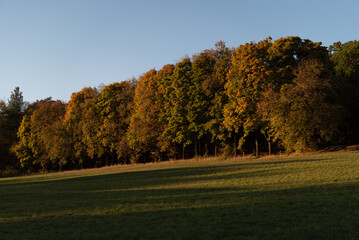 Obraz premium Ukrainian village. Fall in the forest