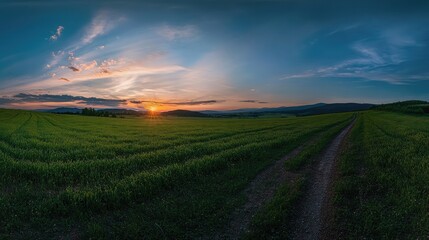 Panorama of a green field with a dirt road and sunset sky