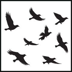 Fototapeta premium Flying Birds Group Silhouette