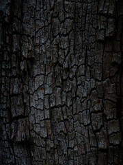 grey wood background texture