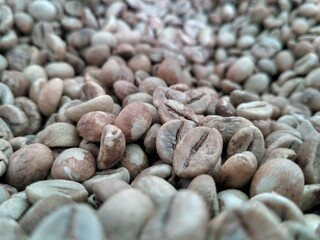 close up of beans 