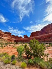 Fototapeta premium Zion National Park