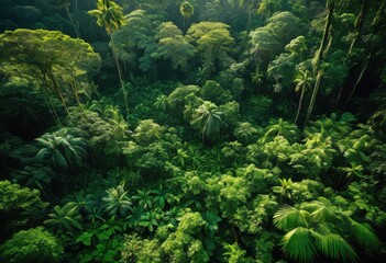 lush rainforest canopy featuring diverse plant varieties interstate green foliage exotic flora dense natural environment, greenery, vegetation, tropical