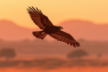 Naklejka premium Majestic Eagle Soaring Through the Vibrant Sunset Sky in a Serene Landscape