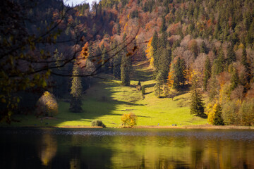 Herbst in der Alpenlandschaft