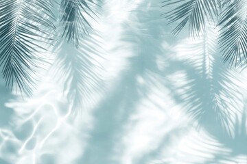 Palm leaves shadow on water leaf background outdoors.