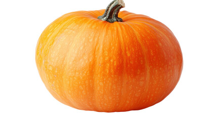 Bright orange pumpkin resting against a white backdrop, perfect for autumn festivities