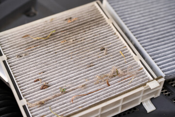 Used car cabin air filter showing debris