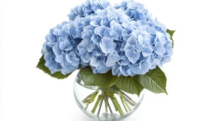 Obraz premium Blue Hydrangea Bouquet in Glass Vase