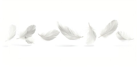 Obraz premium Real white feathers border floating illustration delicate.