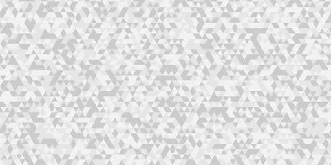 	
White and gray polygon Mosaic triangle overlap texture background. Vector geometric seamless gray, white cube square low polygon background. abstract surface creative diamond pattern corporate.