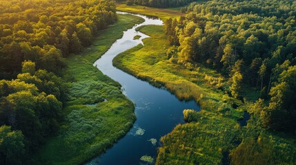 Nature preservation initiatives focusing on protecting natural landscapes and the wildlife that depends on them