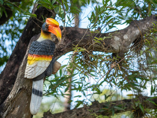 toucan on a tree © Meklay