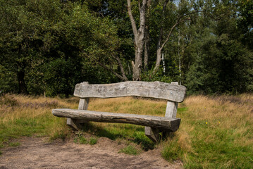wooden bench in the national park