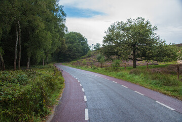 road in the countryside