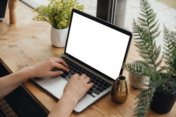 A person typing on a laptop at a wooden desk surrounded by plants