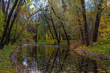 Colorful trees on the banks of the river in the autumn park