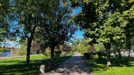 Fototapeta premium A park with a path and trees. The trees are green and the sky is blue. The park is a peaceful place to relax and enjoy nature