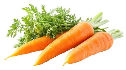 Freshly harvested carrots with vibrant green tops on a clean white background in daylight