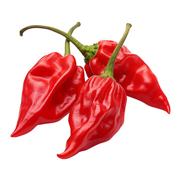Ripe red hot carolina reaper chili pepper isolated on transparent background, PNG