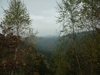 Wanderweg im Herbst zwischen Hahnenklee und Altarklippen bei Wolfshagen, Langelsheim/Goslar, Harz, Niedersachsen