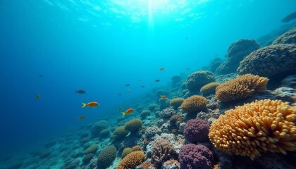 Fototapeta premium Beneath the surface A vibrant underwater world