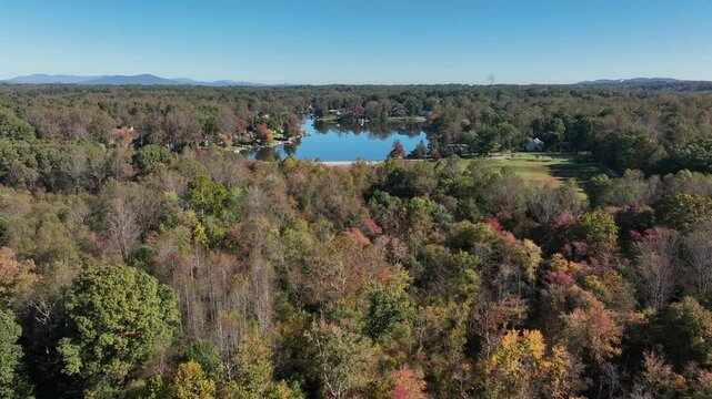 Aerial approaching flight over colorful trees in autumn season with blue sky. Villas and Homes at shoreline during sunny day. Timber Lake,VA,America.
