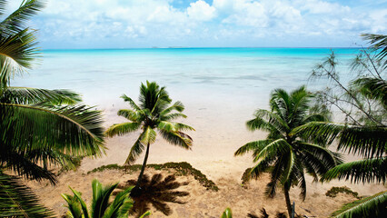 Vacation on tropical island with palm trees on the beach