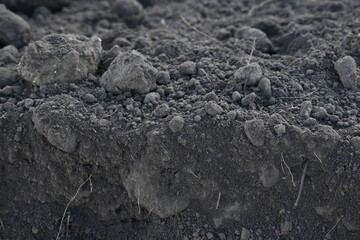 Close up black earth texture, black earth texture, macro texture of earth as background 
