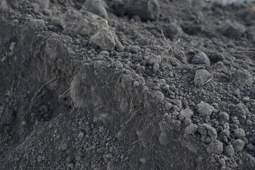 Close up black earth texture, black earth texture, macro texture of earth as background 