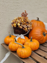 Variety of orange color Pumpkins decoration for Halloween festival