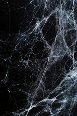 Spider web. Halloween decoration element.