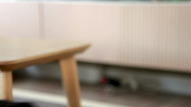 Perro esperando a mujer para salir hacer deporte, primer plano