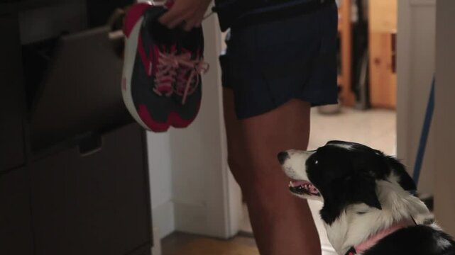 Mujer coge sus zapatillas para hacer deporte y perro espeta