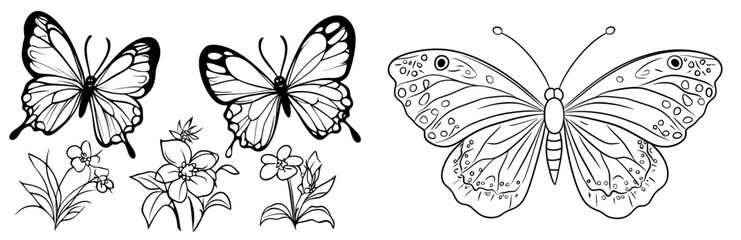 Hand-drawn butterfly flower pattern tattoo illustration